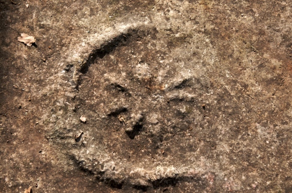 Prikaz astralnih motiva u plitkom reljefu na biligu s nekropole Lučine.